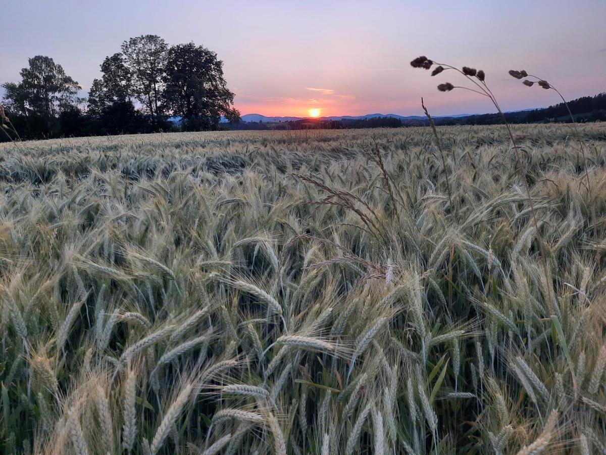 Grainmeisterhof Niederwaldkirchen Exteriör bild