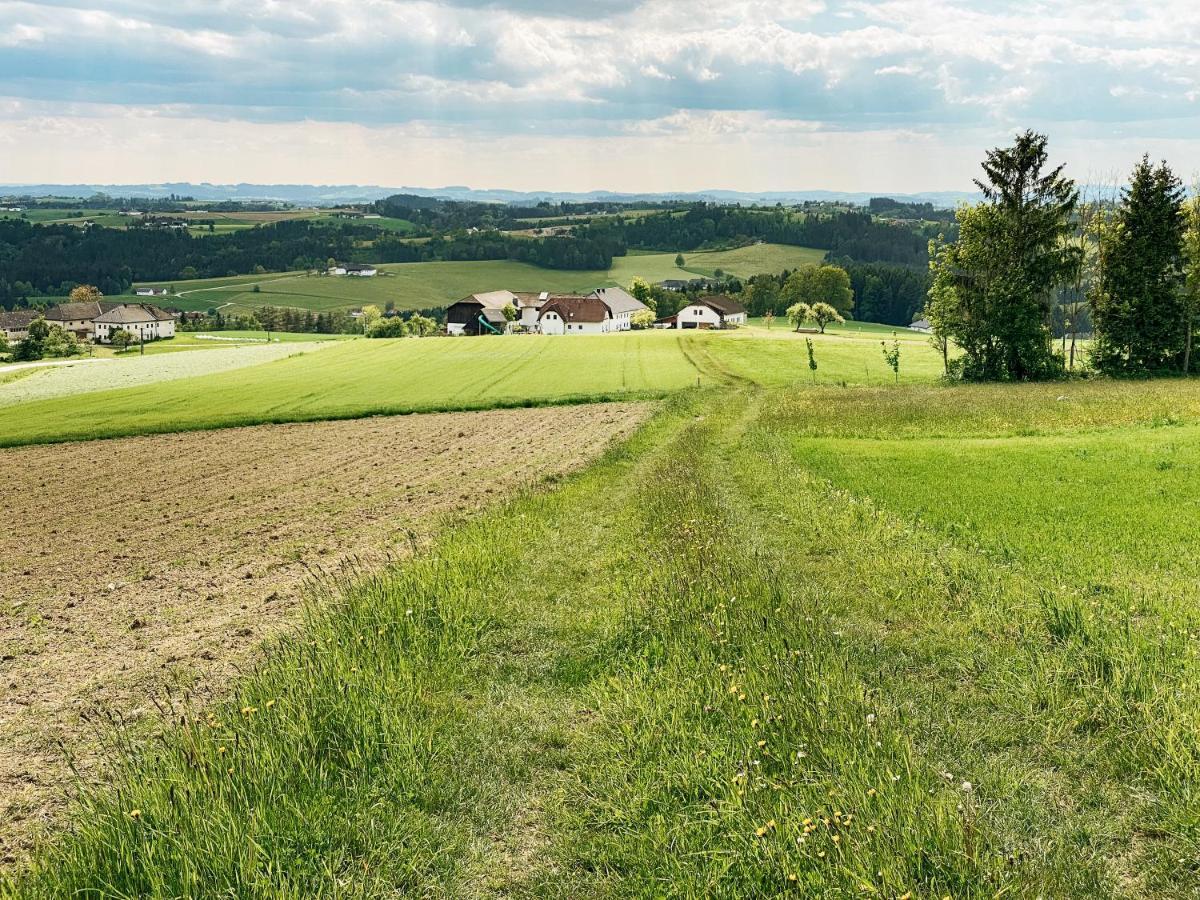 Grainmeisterhof Niederwaldkirchen Exteriör bild