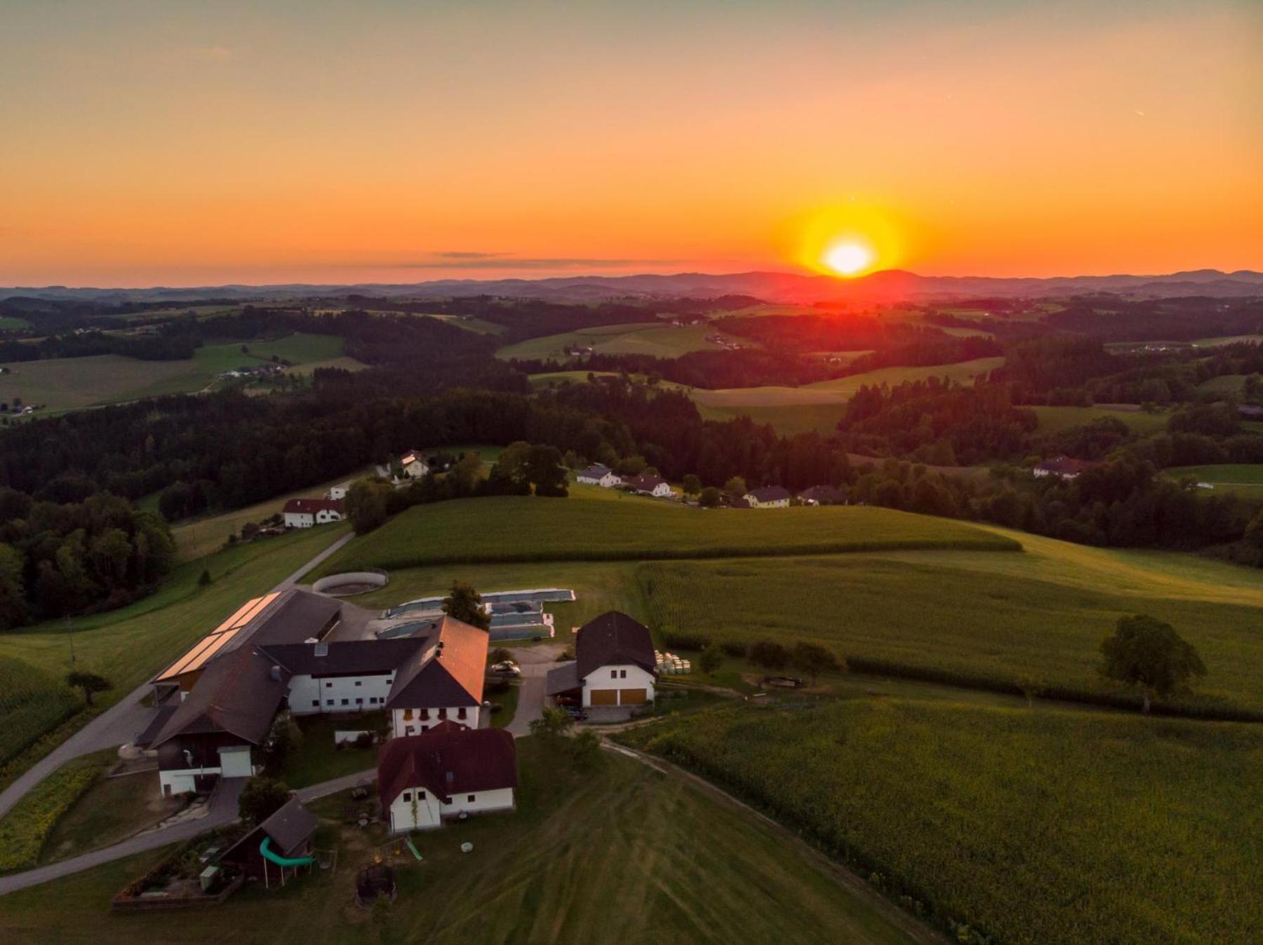 Grainmeisterhof Niederwaldkirchen Exteriör bild